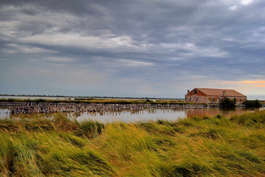 Valli di Comacchio