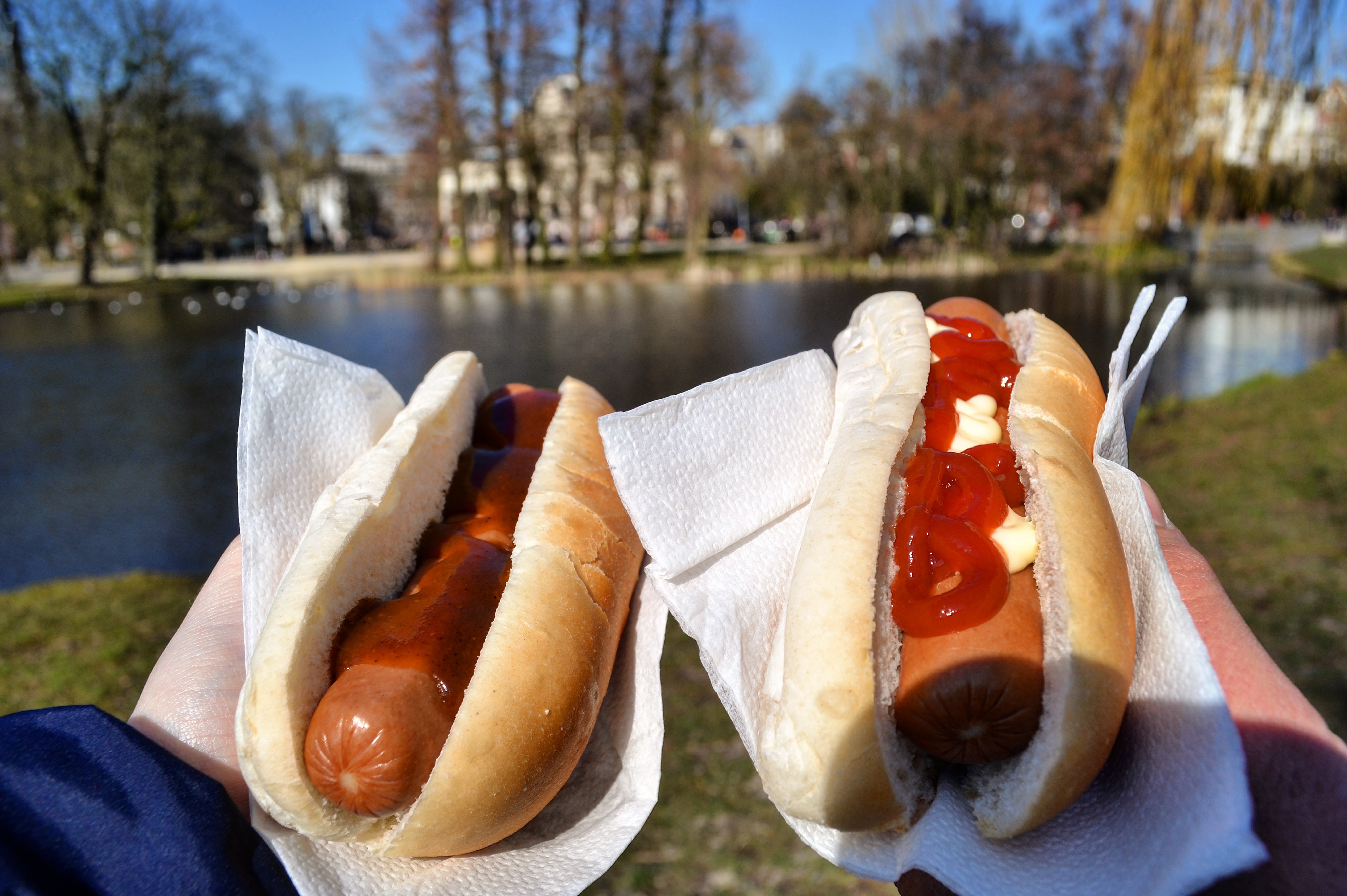 Hot dog a Vondelpark