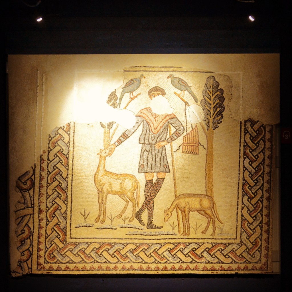 Domus dei Tappeti di Pietra Ravenna