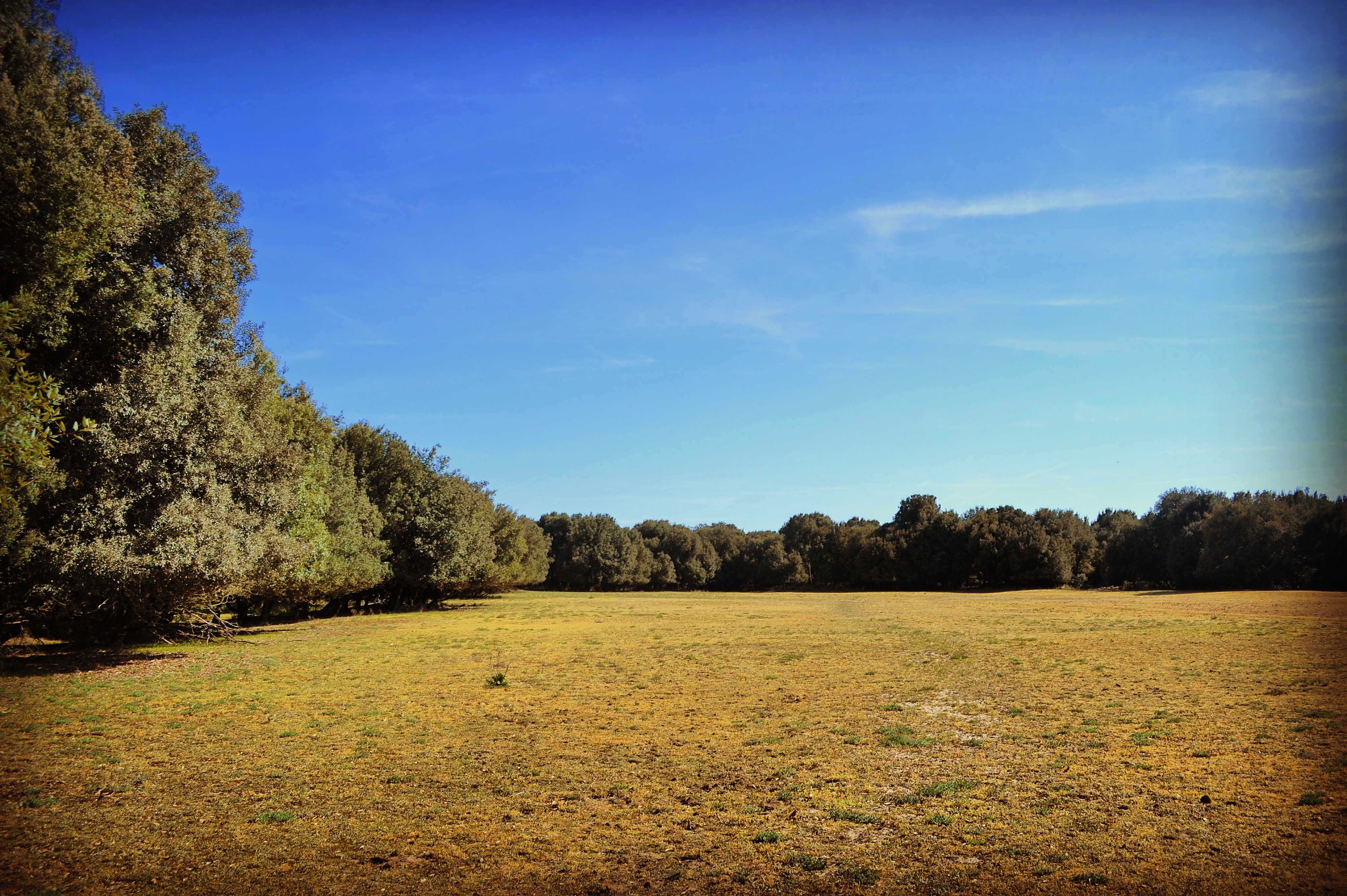 Parco delle Duchesse Riserva Naturale del Gran Bosco della Mesola