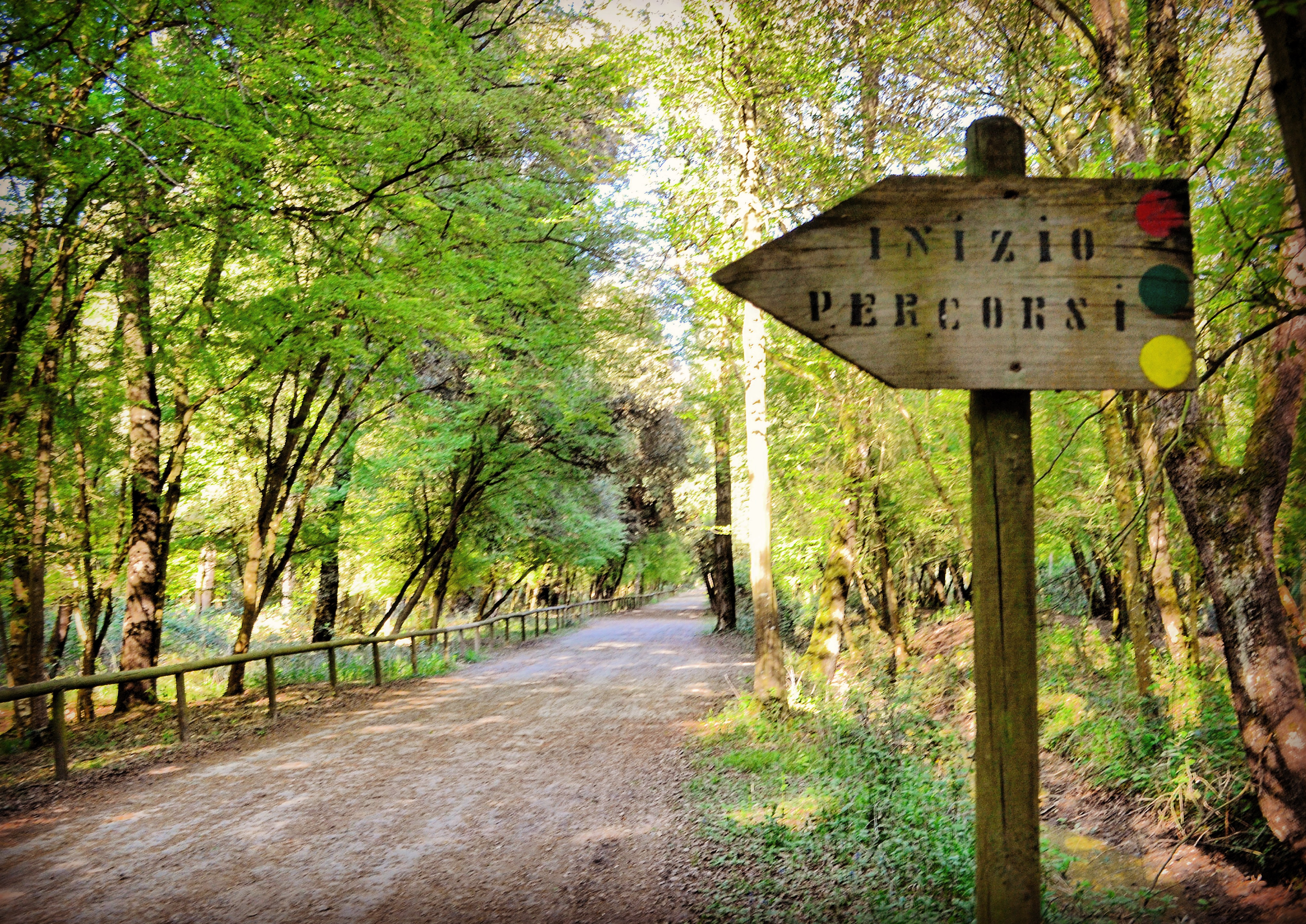 Riserva Naturale del Gran Bosco della Mesola