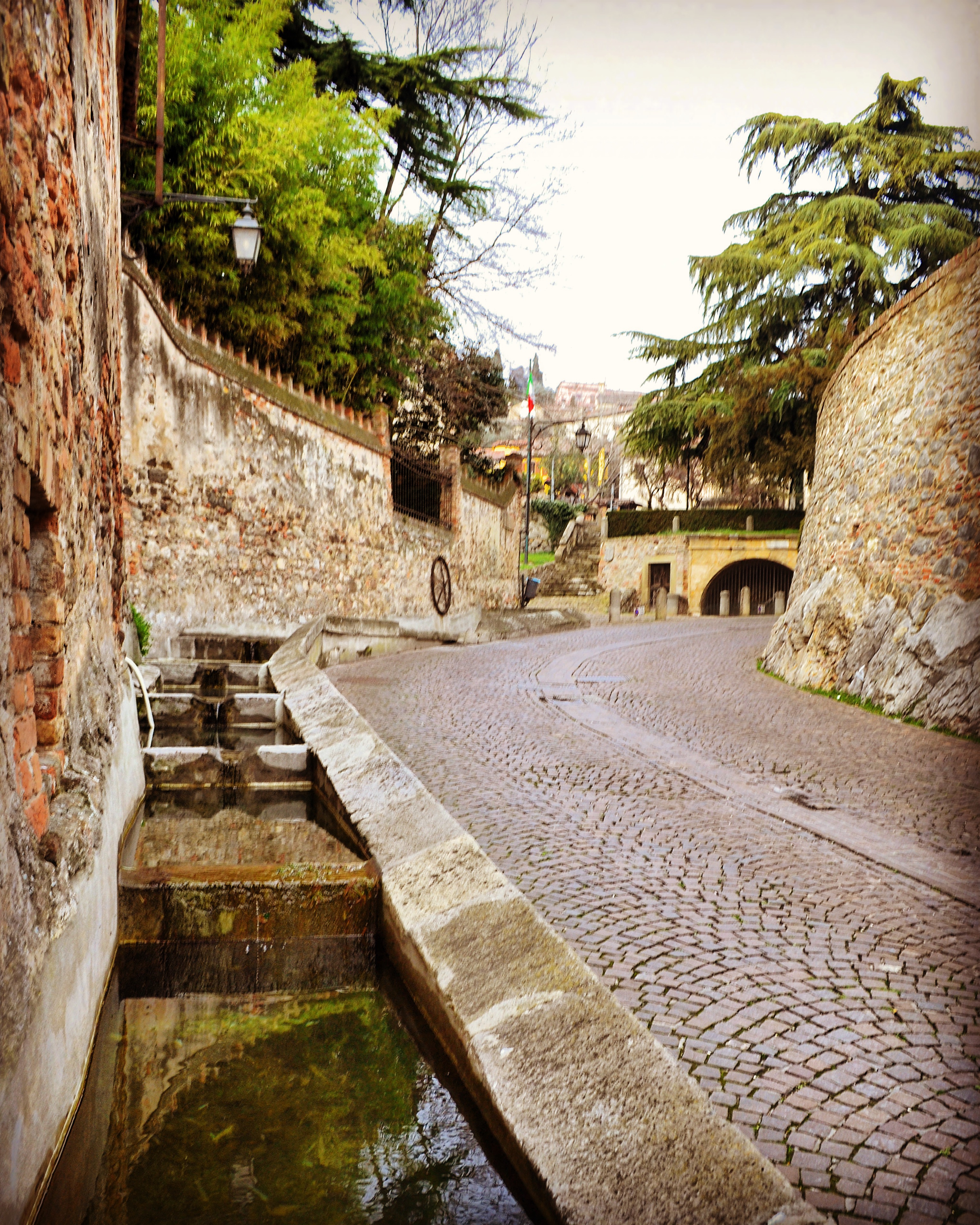 Fontana del Petrarca Arquà Petrarca