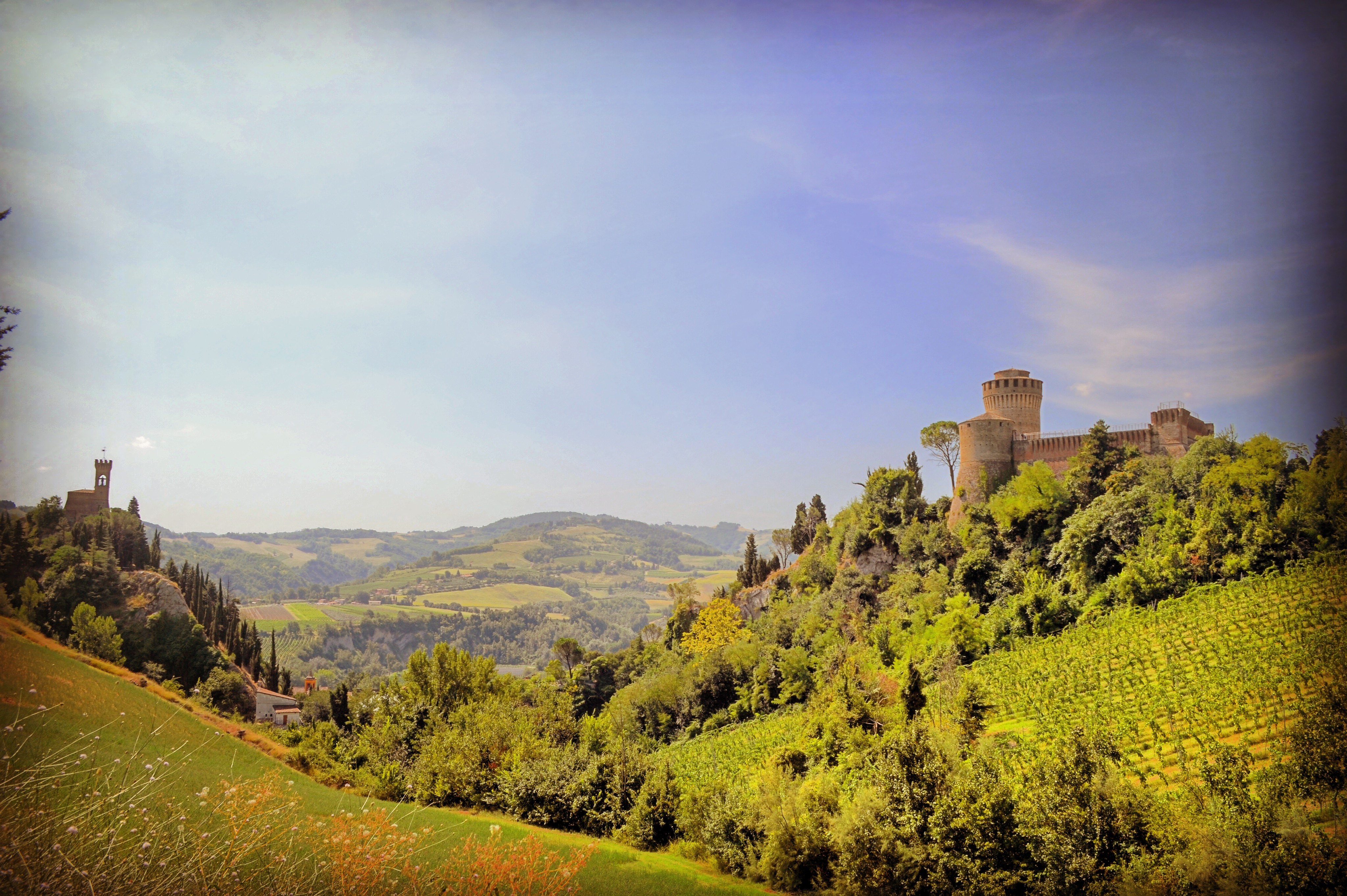 Colli di Brisighella