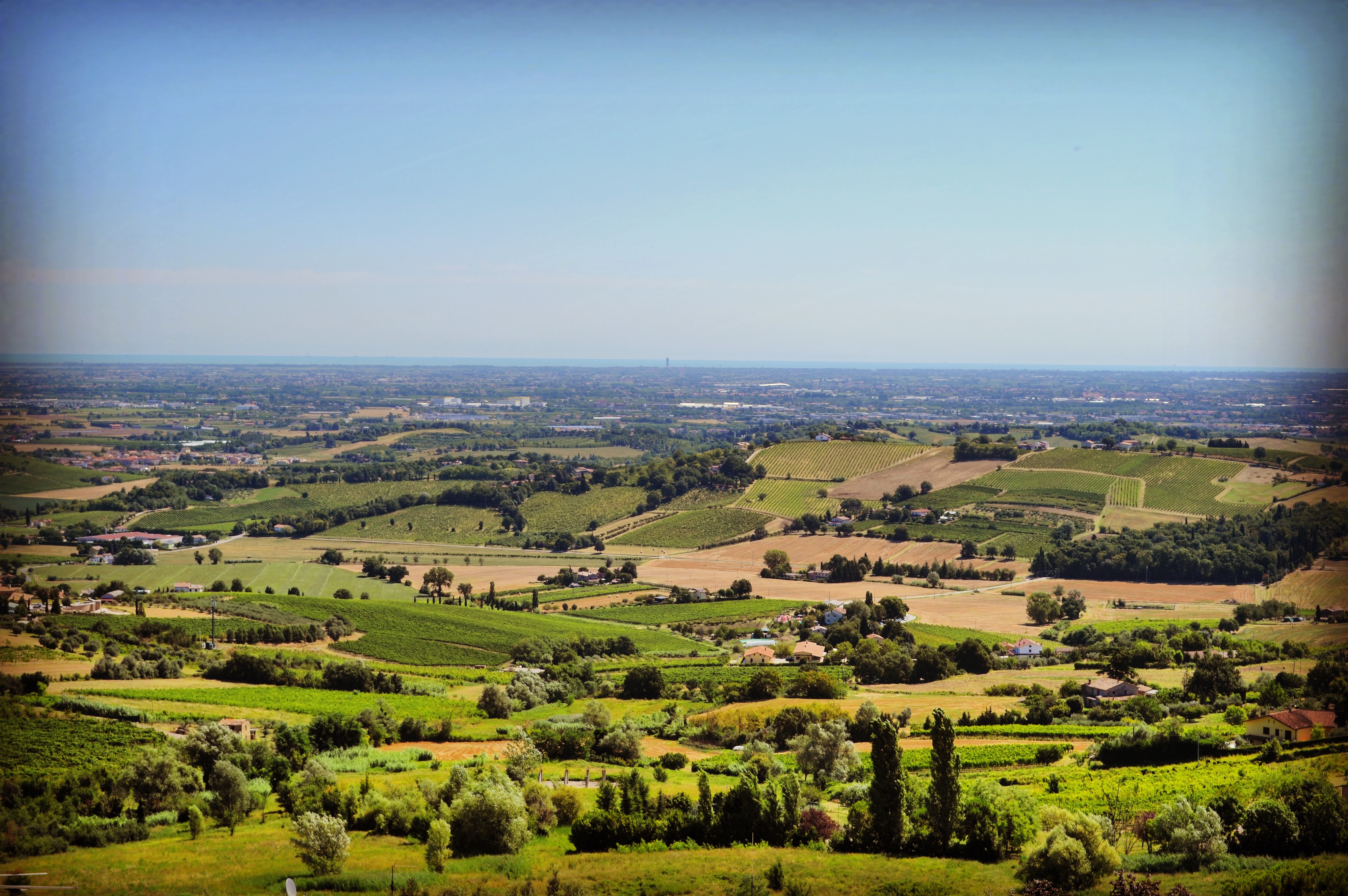 Bertinoro panorama