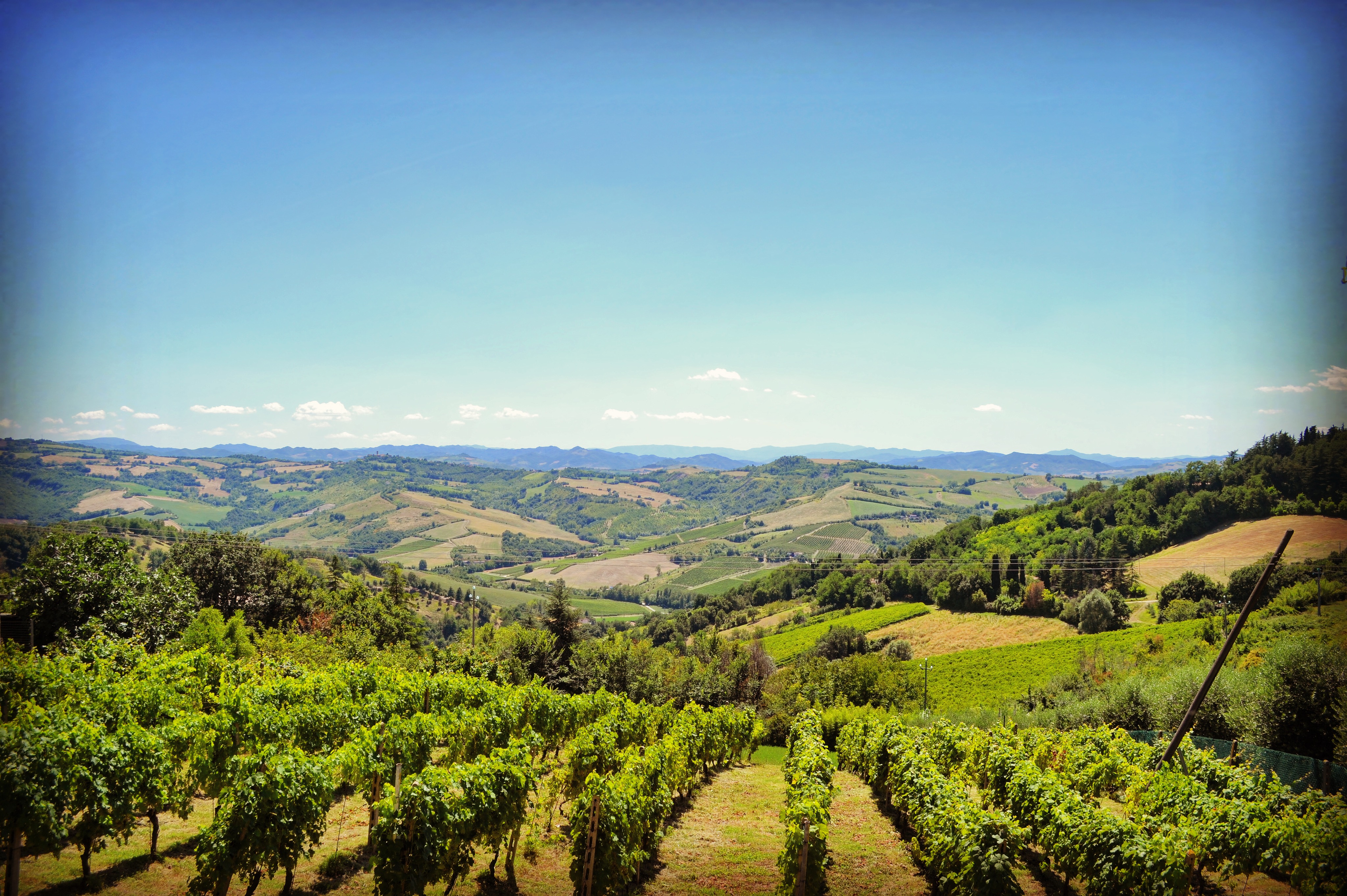 Polenta Bertinoro panorama