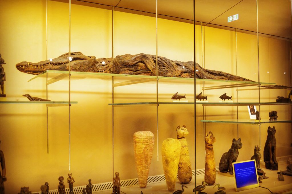 Museo Civico Archeologico Bologna sezione egiziana