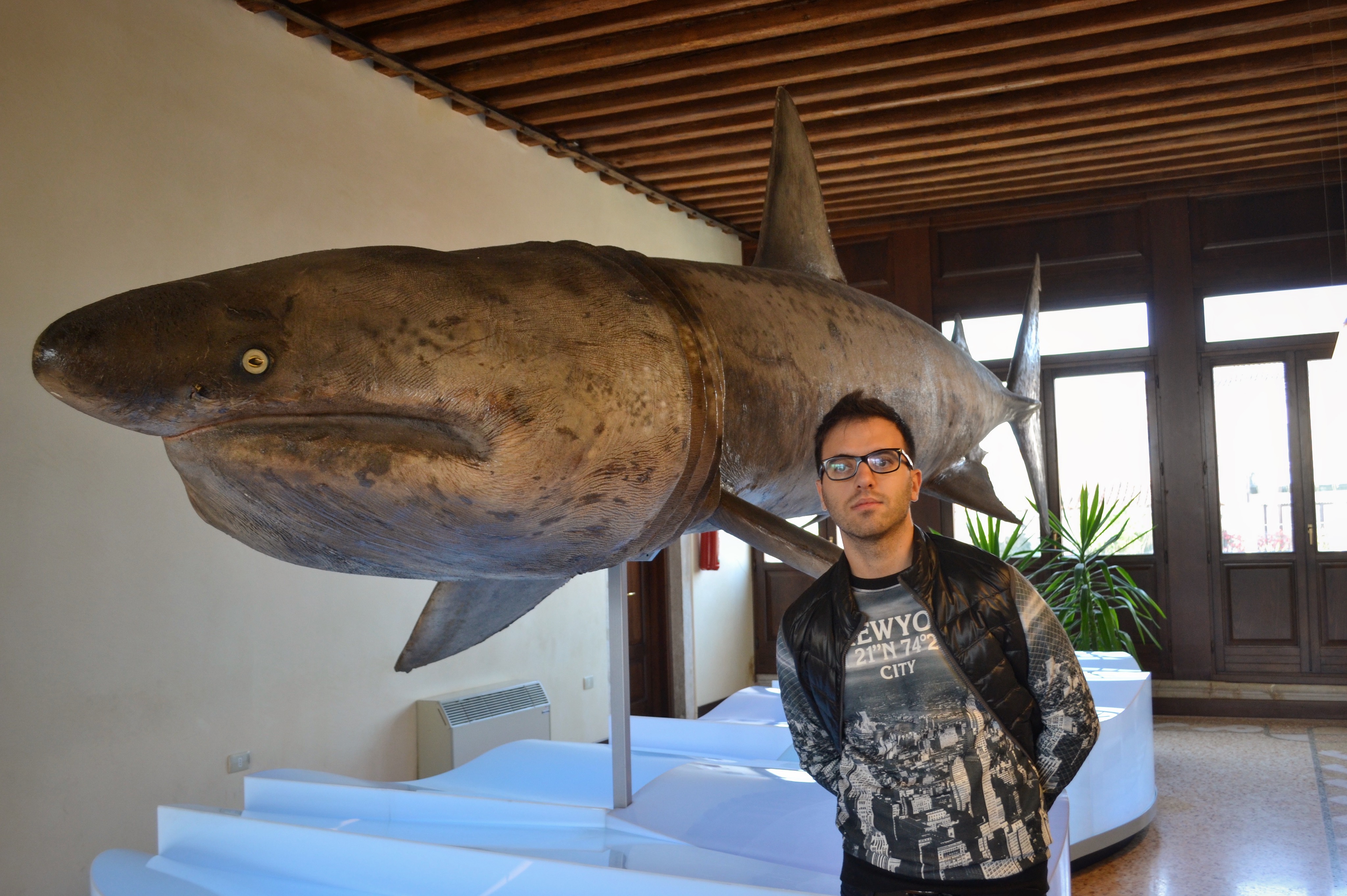 Museo di Zoologia Adriatica Chioggia Palazzo Grassi