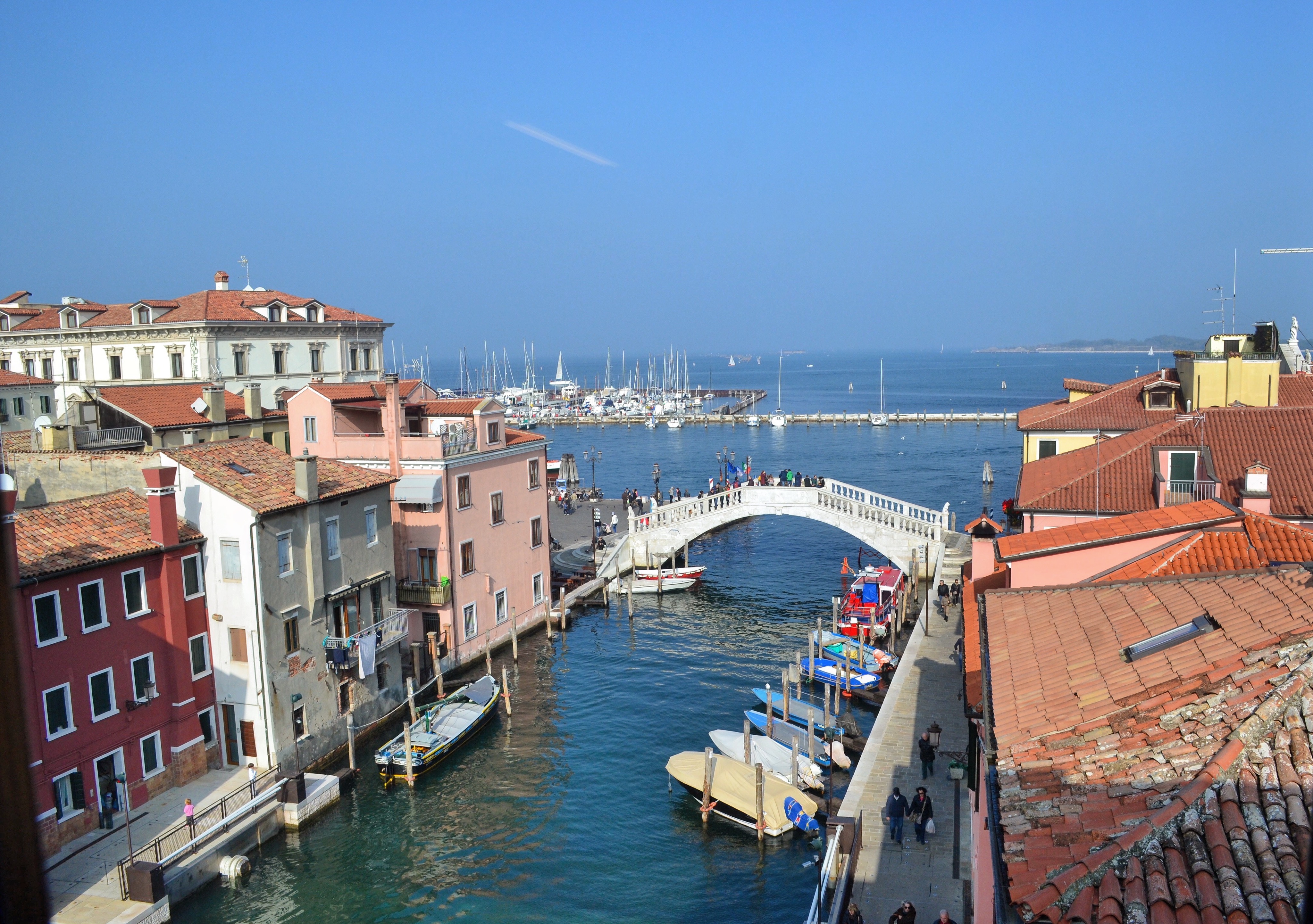 Museo di Zoologia Adriatica Chioggia Palazzo Grassi