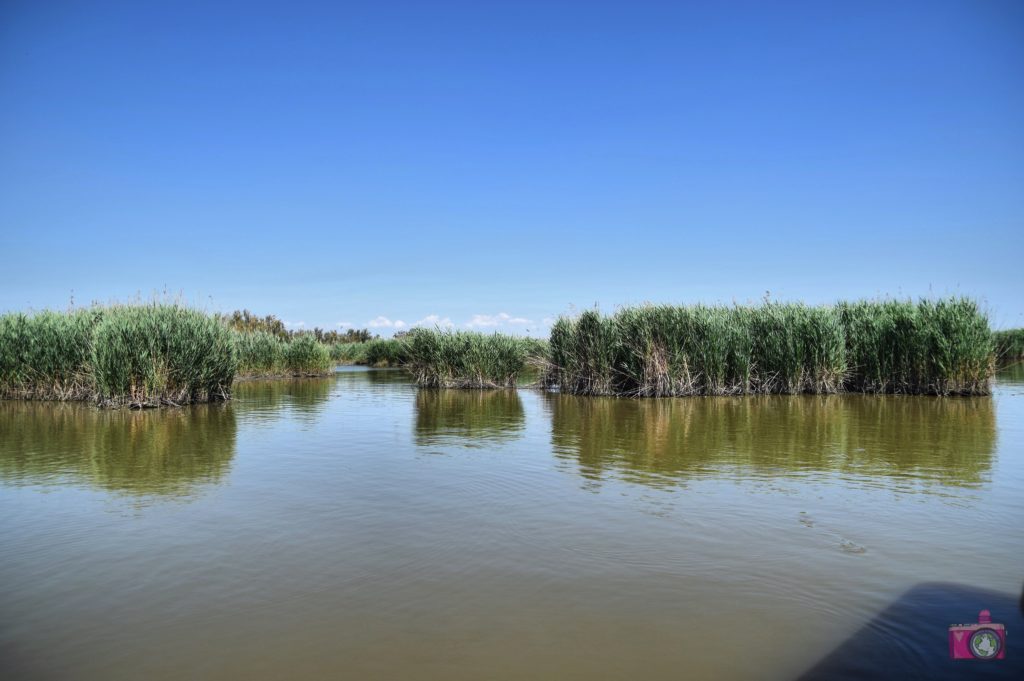 Delta del Po Foce del Po di Volano