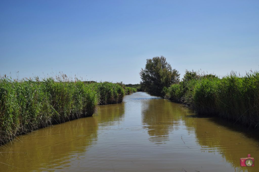 Escursione in barca Delta del Po Volano 