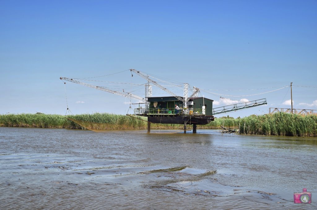 Escursione in barca Delta del Po Volano