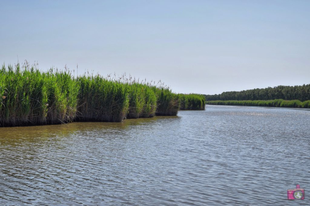 Escursione in barca Delta del Po Volano 