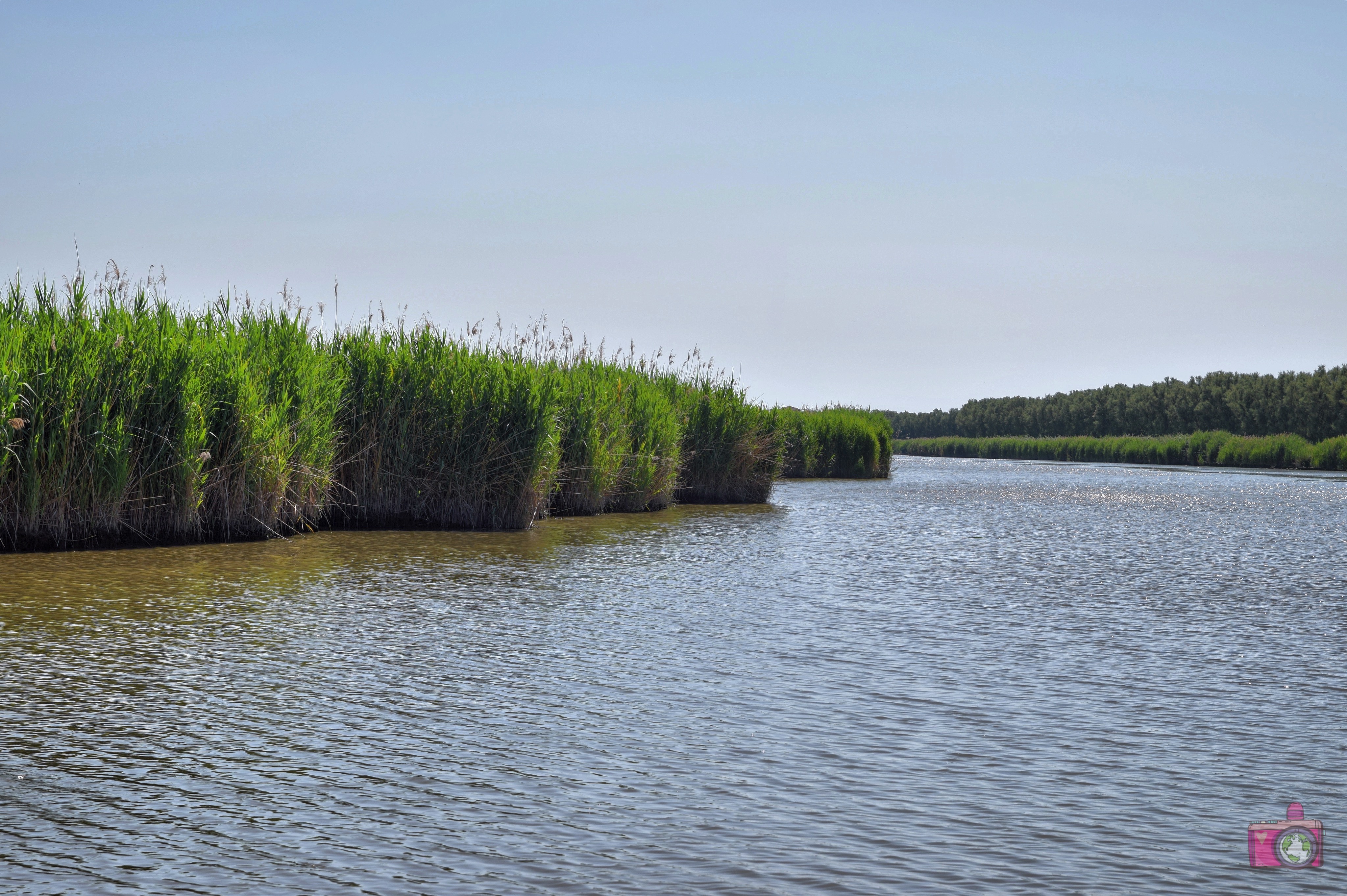 Escursione in barca Delta del Po Volano