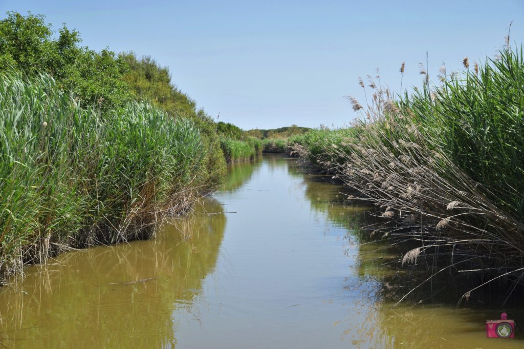 Escursione in barca Delta del Po Volano