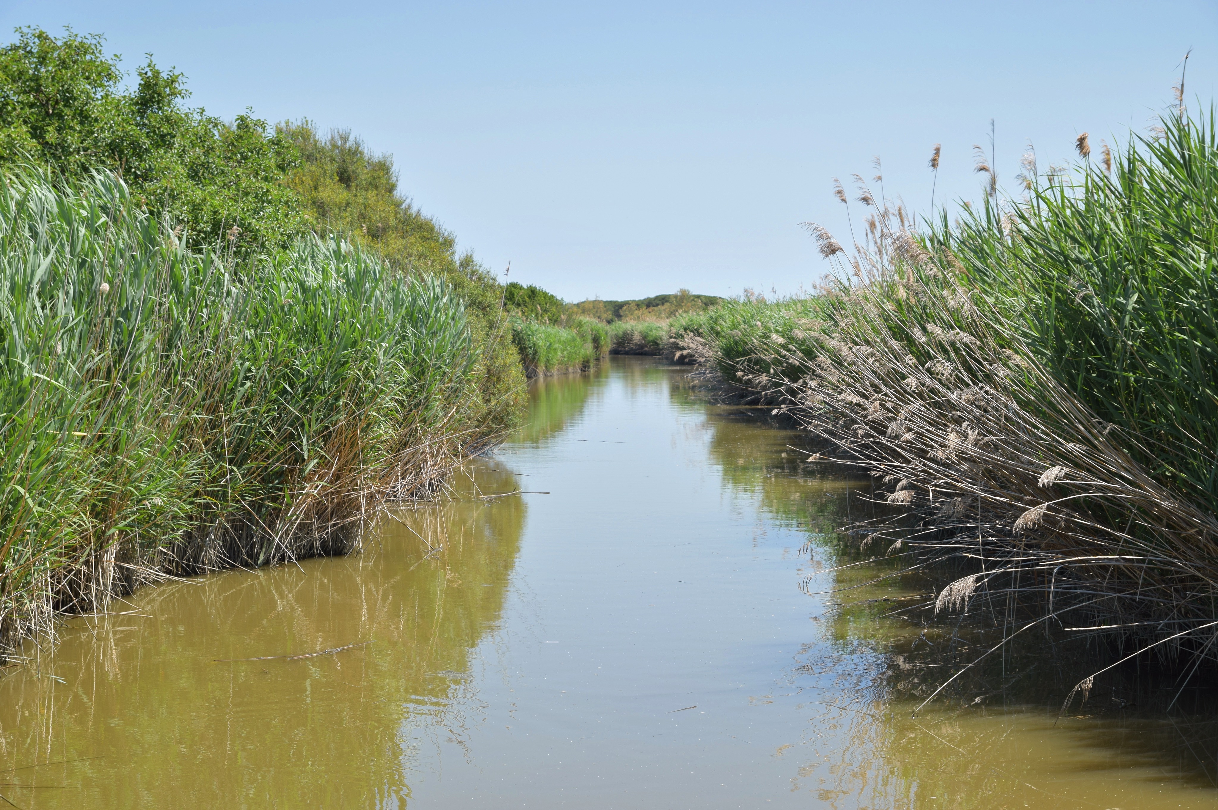 Volano Delta del PO