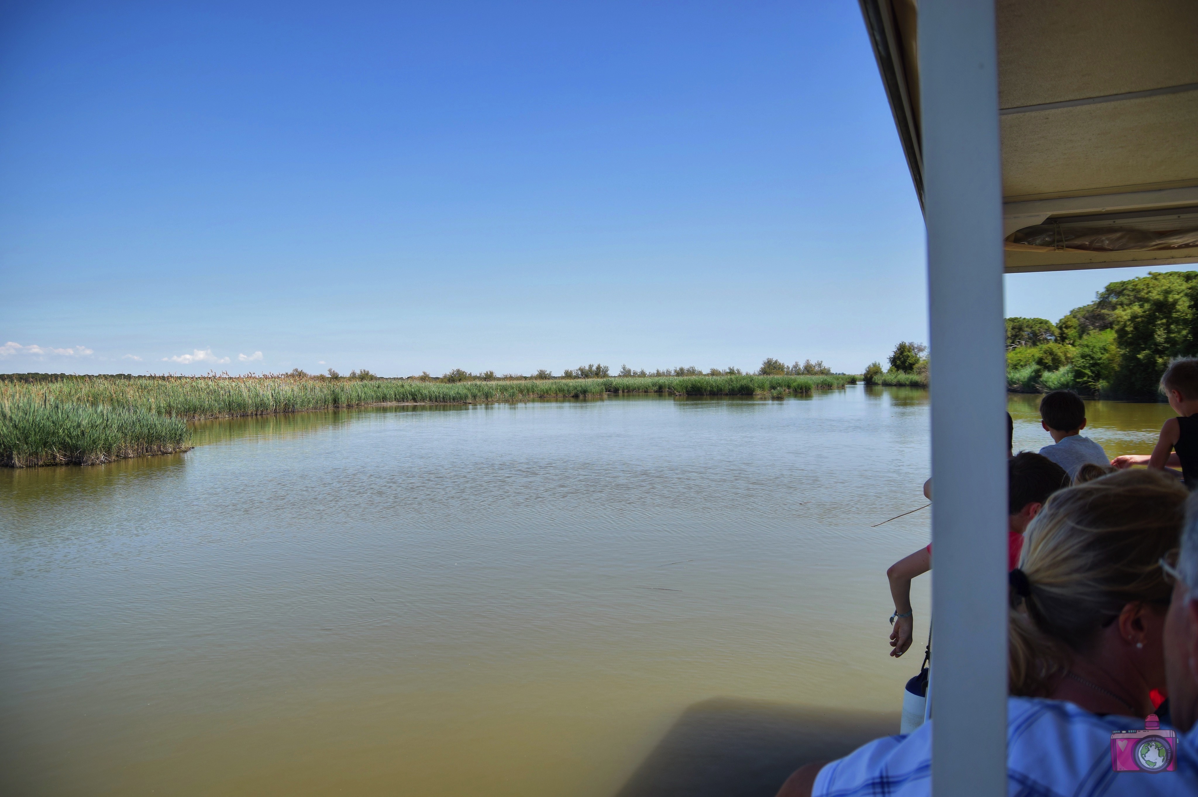 Escursione in barca Delta del Po Volano