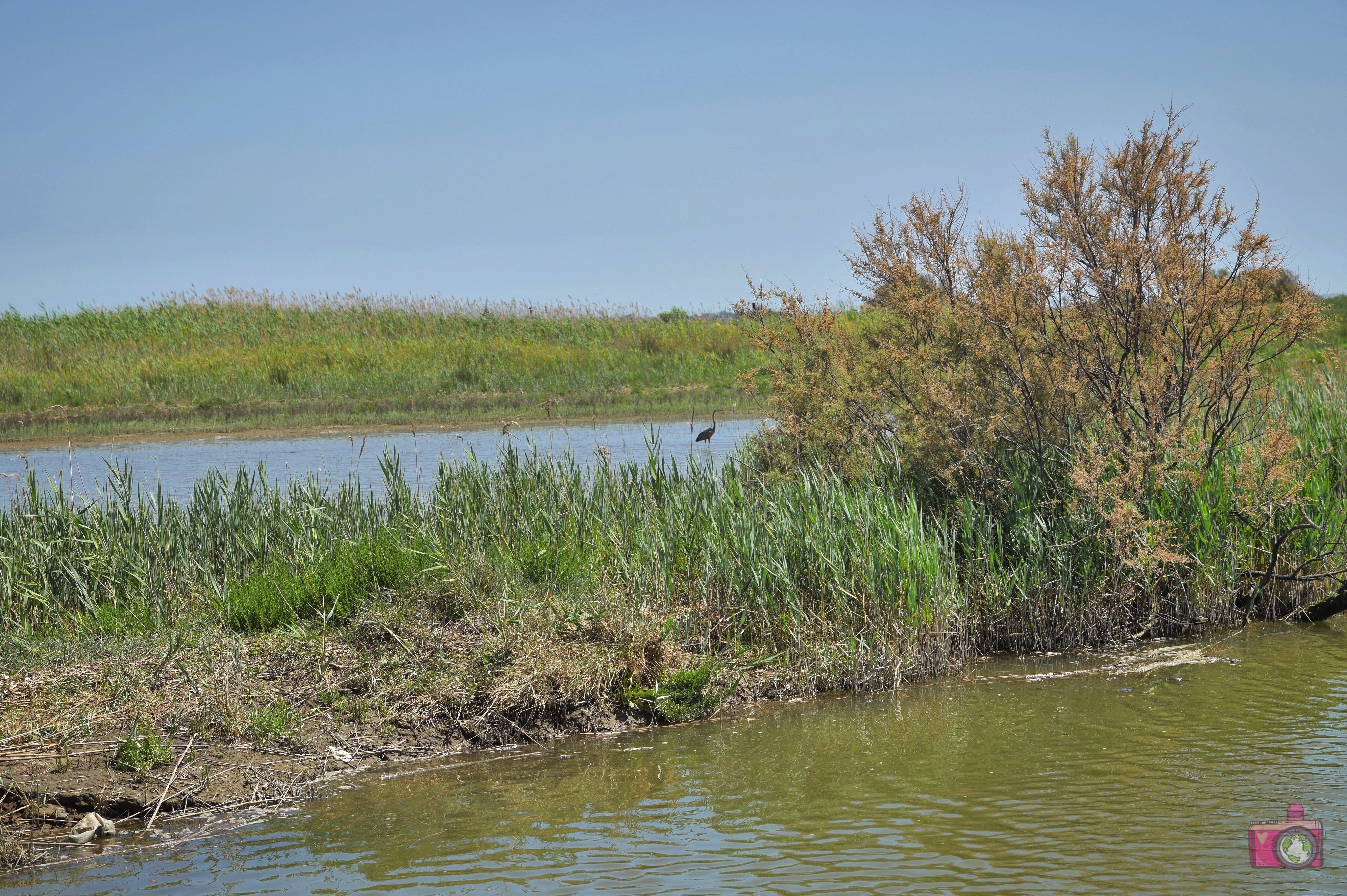 Escursione in barca Delta del Po Volano