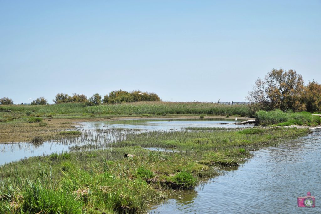 Delta del Po Foce del Po di Volano