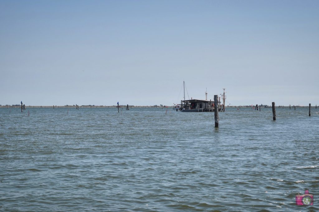 Escursione in barca Delta del Po Volano