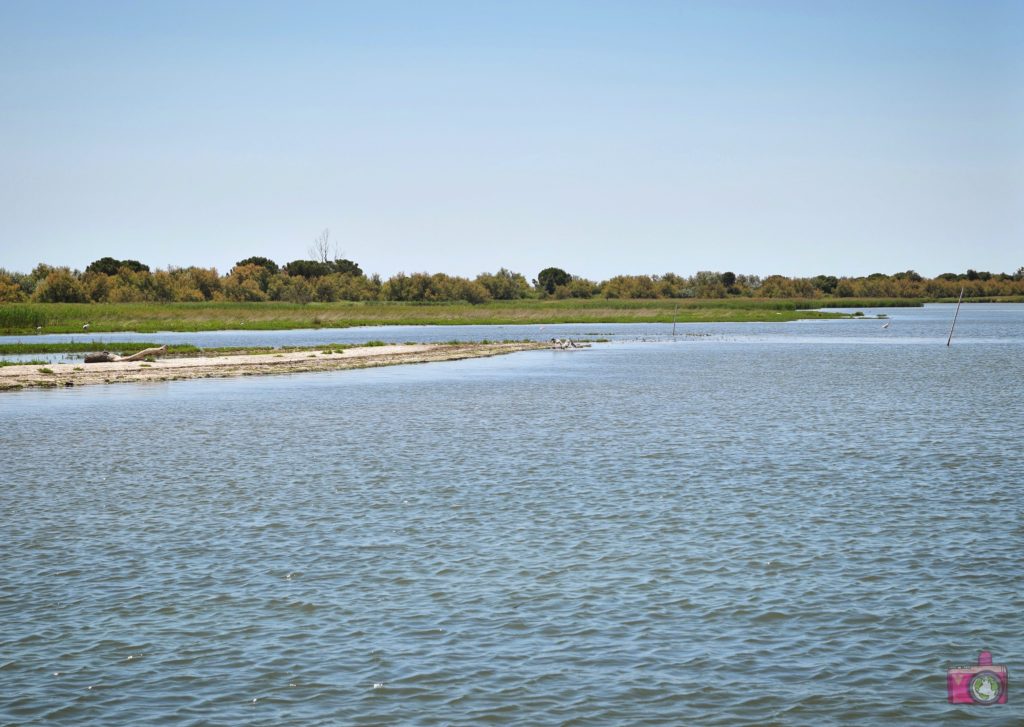 Escursione in barca Delta del Po Volano 