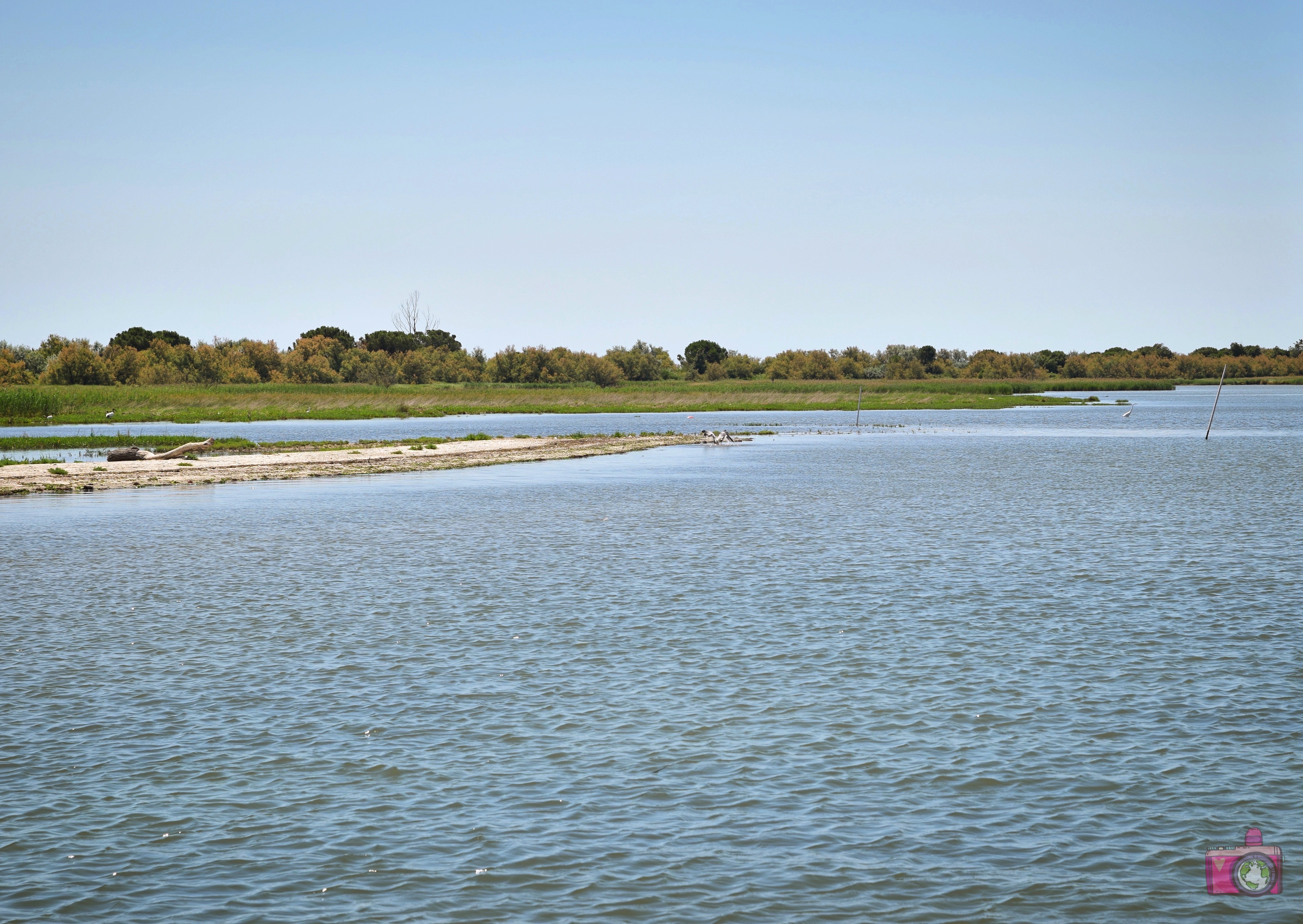 Escursione in barca Delta del Po Volano