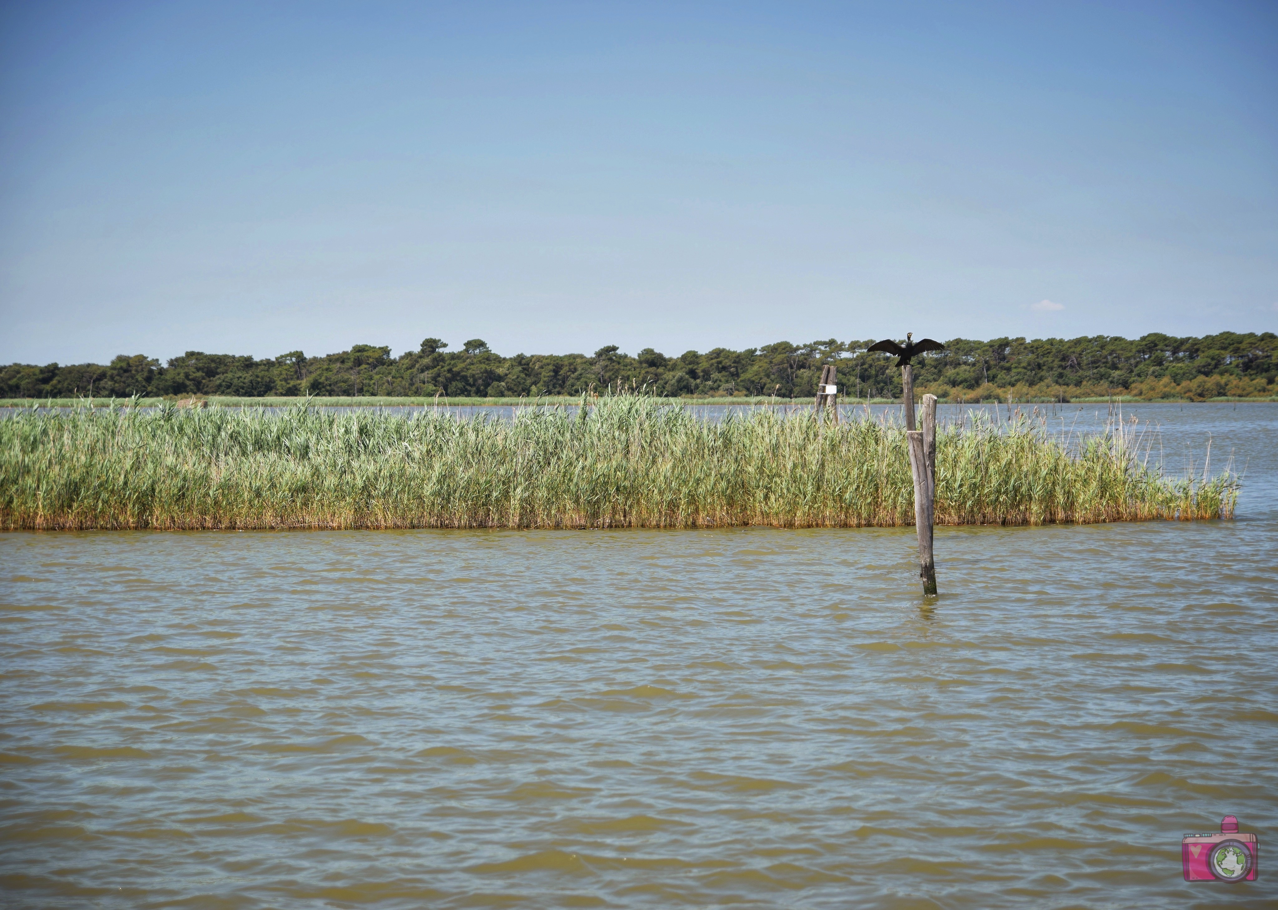 Escursione in barca Delta del Po Volano