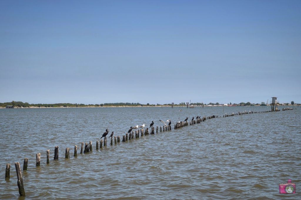 Escursione in barca Delta del Po Volano 