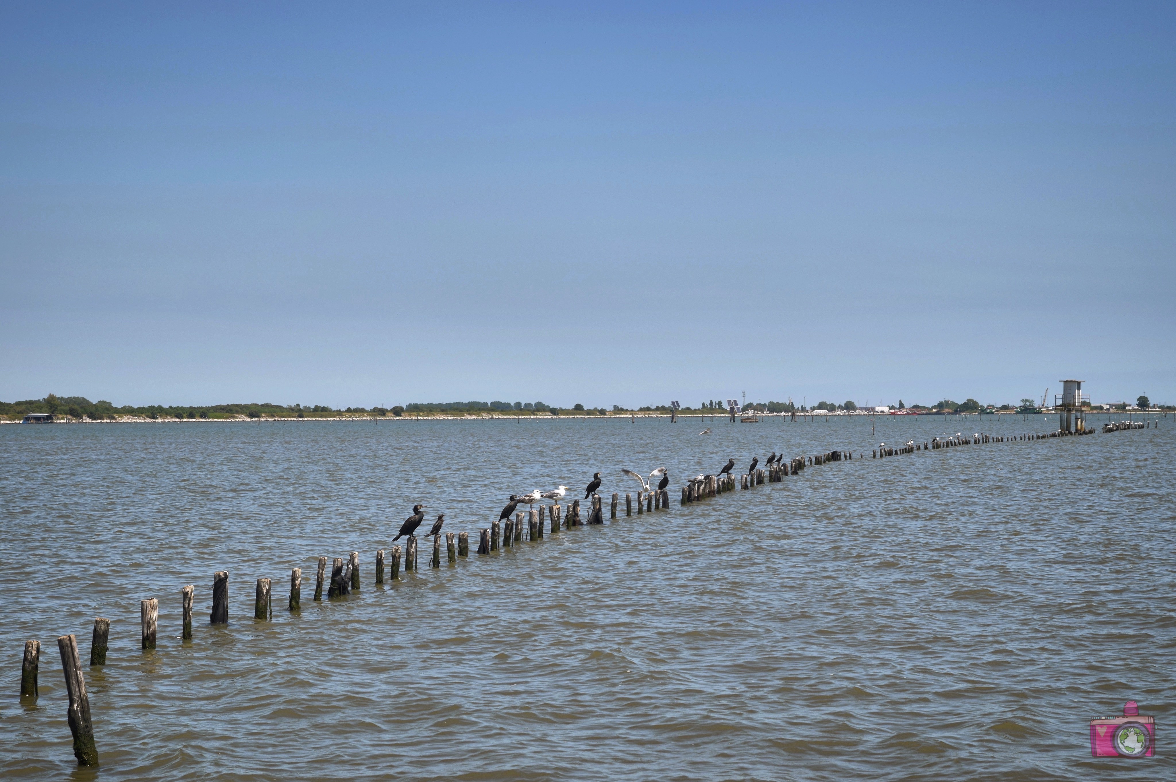 Escursione in barca Delta del Po Volano