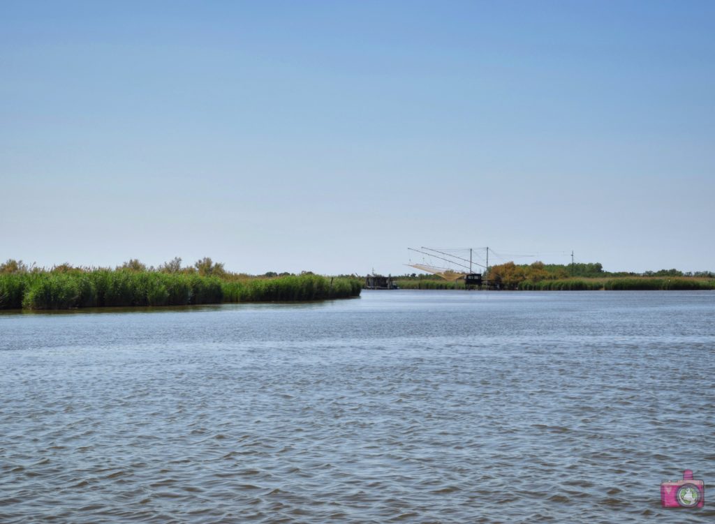 Escursione in barca Delta del Po Volano 