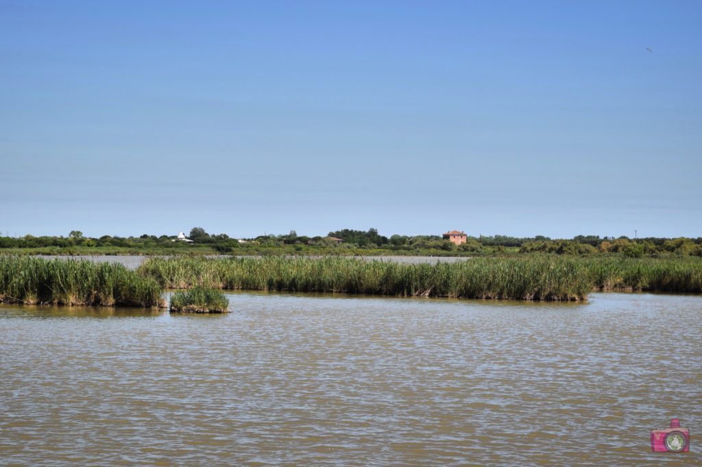 Oasi Canneviè Delta del Po Volano