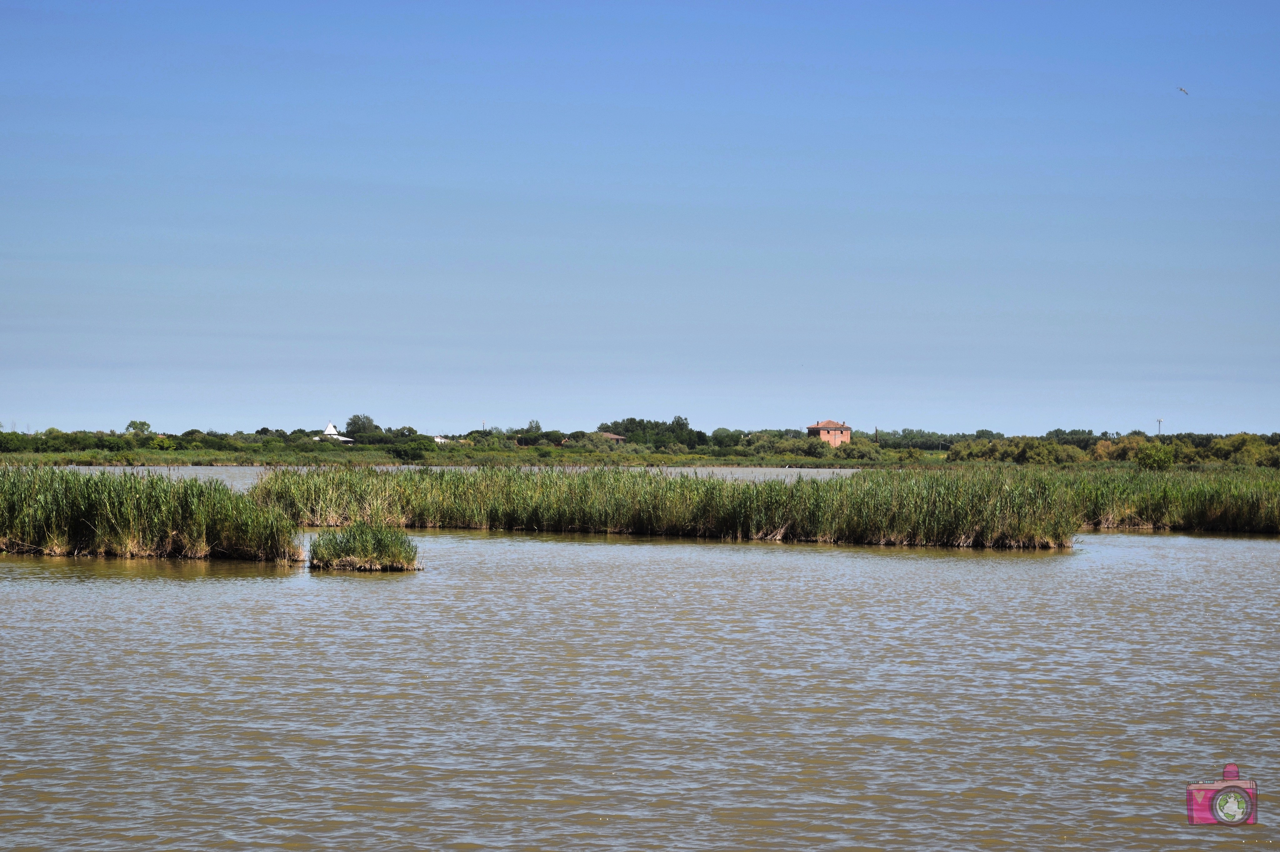 Oasi Canneviè Delta del Po Volano