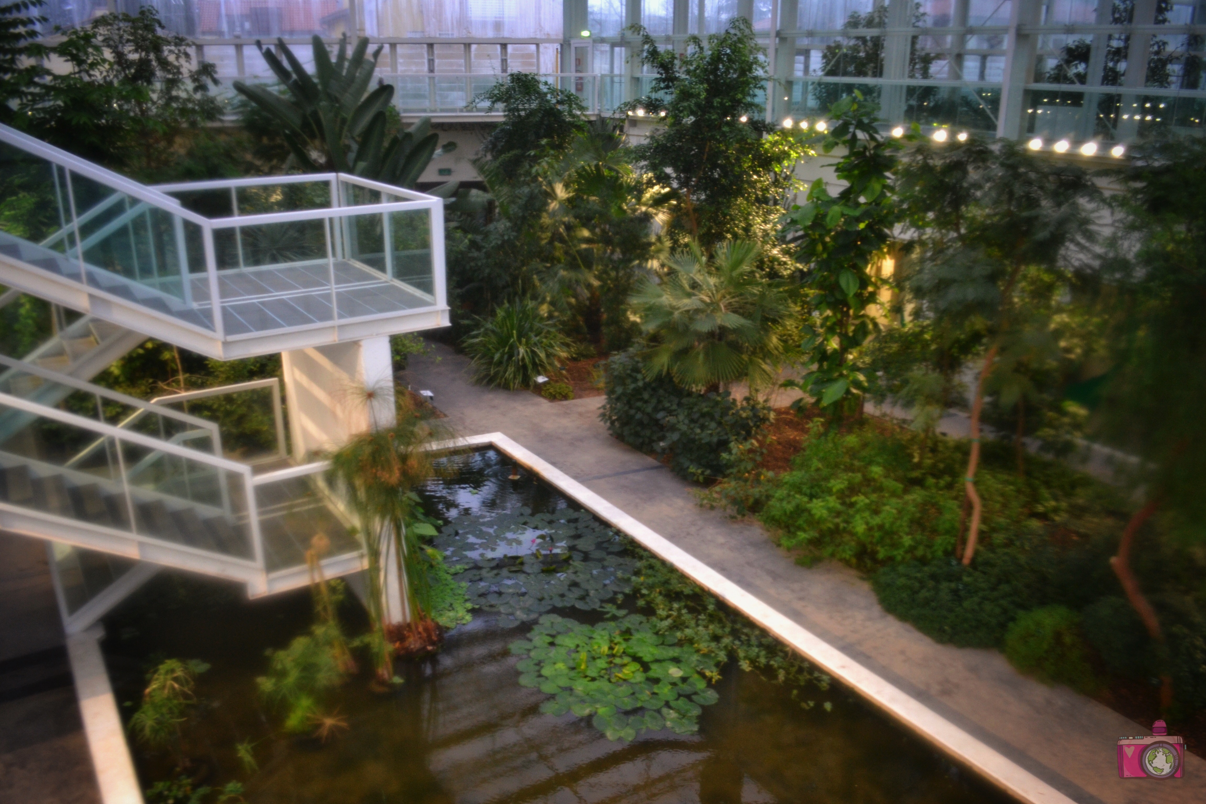 Orto Botanico Padova