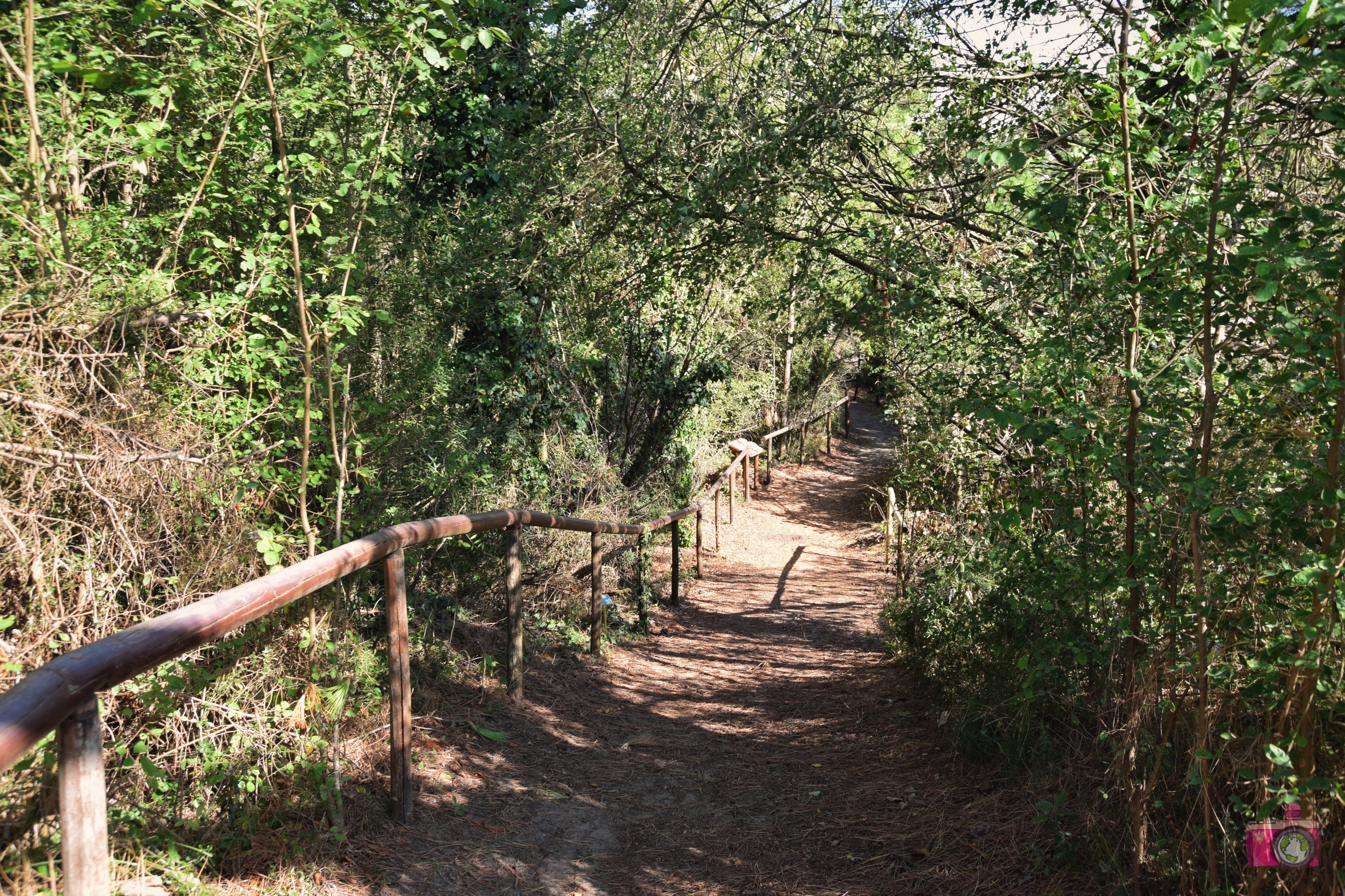 Giardino Botanico Litoraneo Porto Caleri percorso A giallo