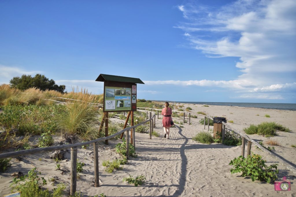 Giardino Botanico Litoraneo Porto Caleri percorso B rosso spiaggia