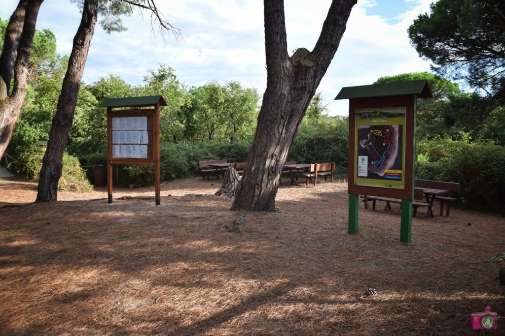 Giardino Botanico Litoraneo di Porto Caleri Percorso A giallo