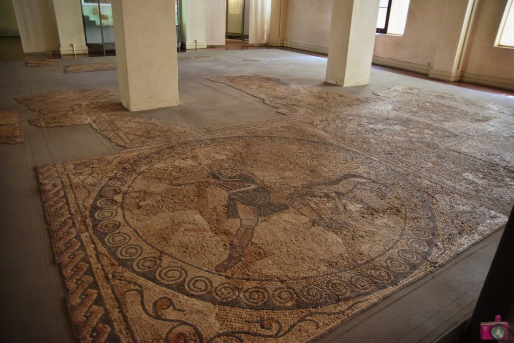 Museo Naturalistico Archeologico Vicenza