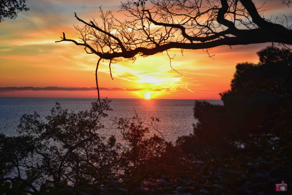 Cosa vedere a Trieste Castello di Miramare