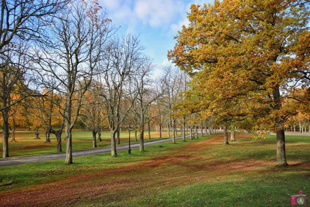 Cosa vedere a Stoccolma Castello di Drottningholm