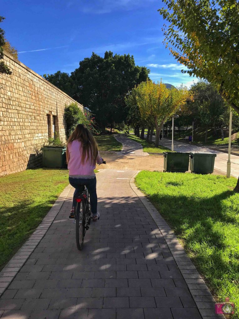 Come muoversi a Valencia bicicletta