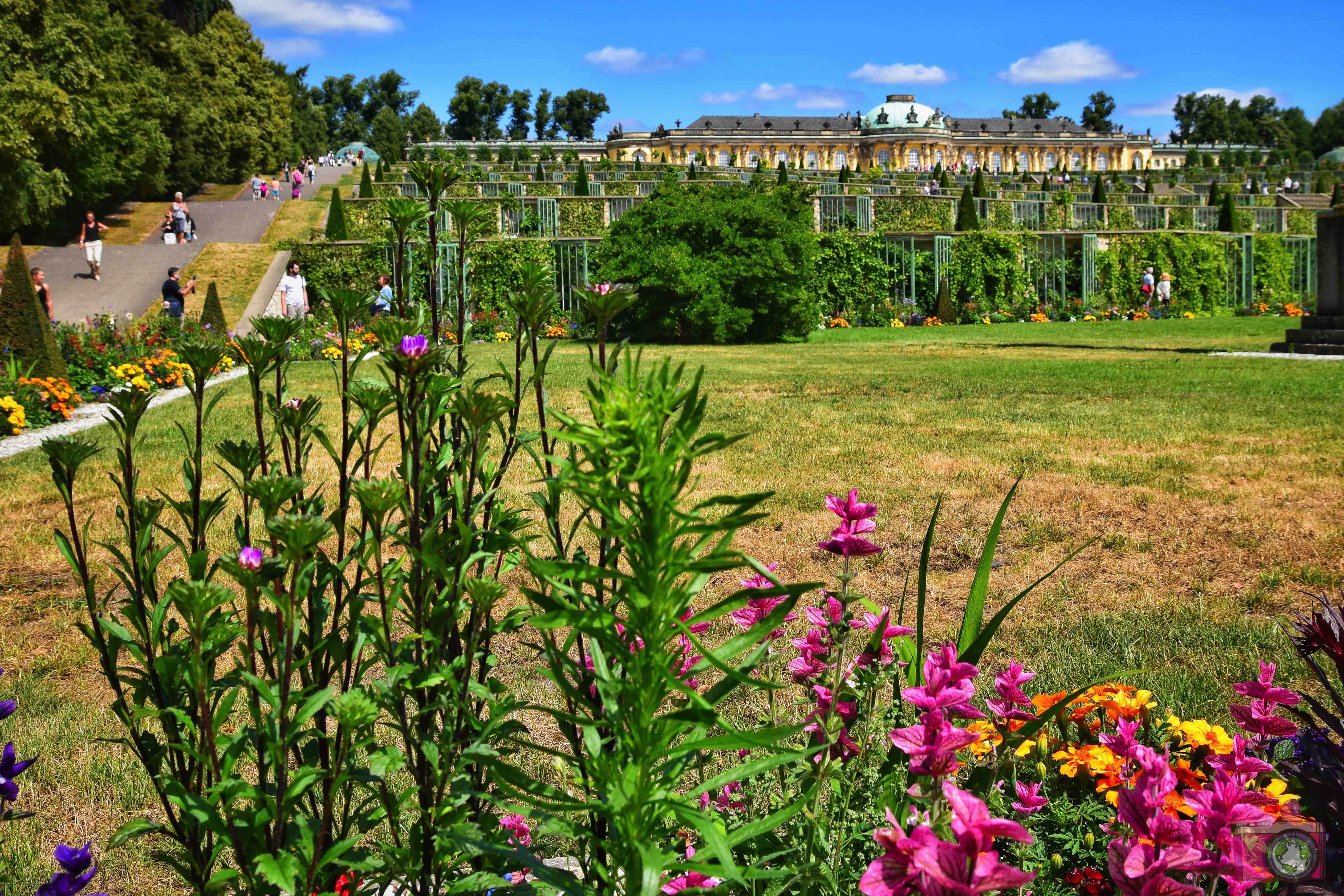 Cosa vedere a Potsdam Castello Sanssouci