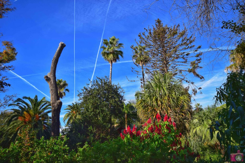 Cosa vedere a Valencia Giardino Botanico