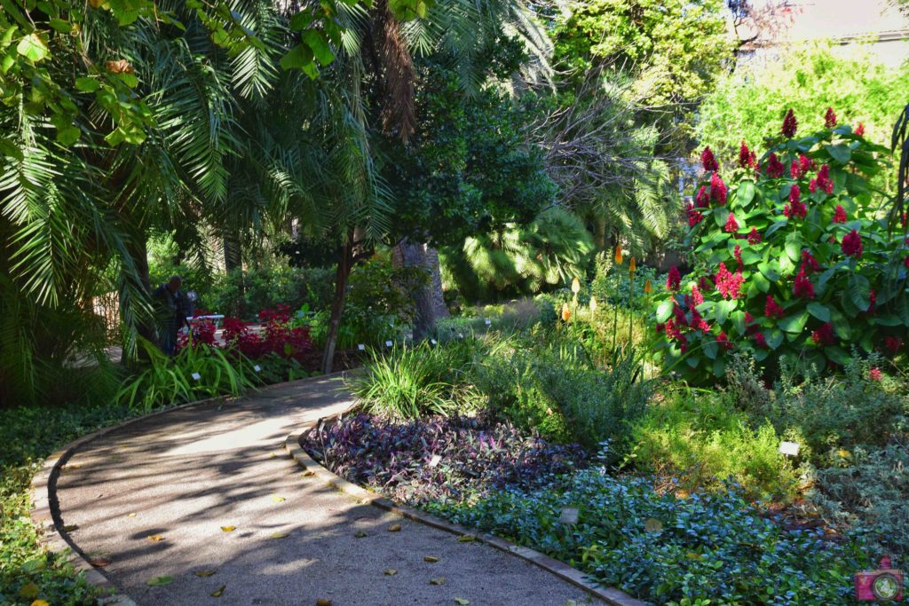 Cosa vedere a Valencia Giardino Botanico