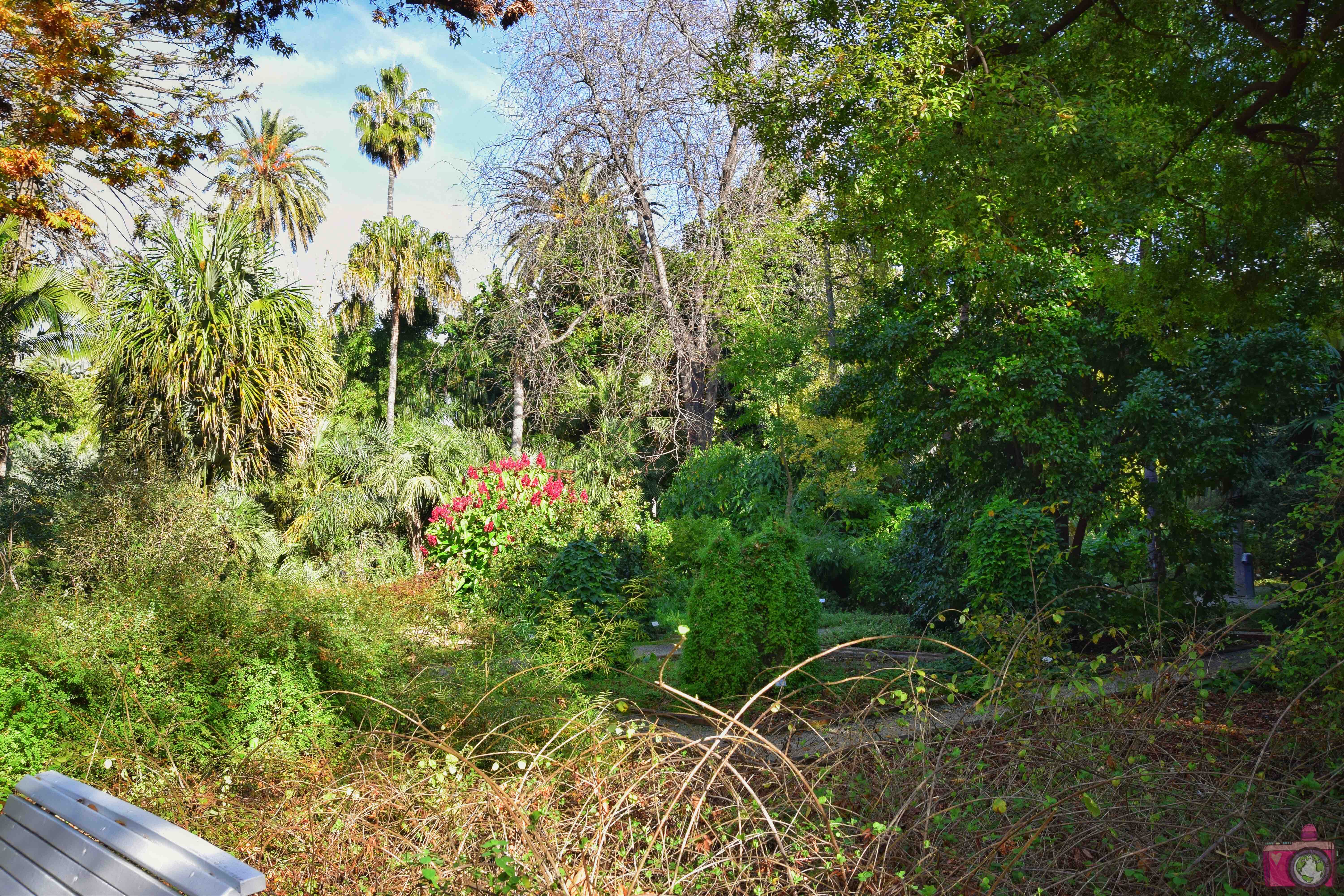 Cosa vedere a Valencia Giardino Botanico