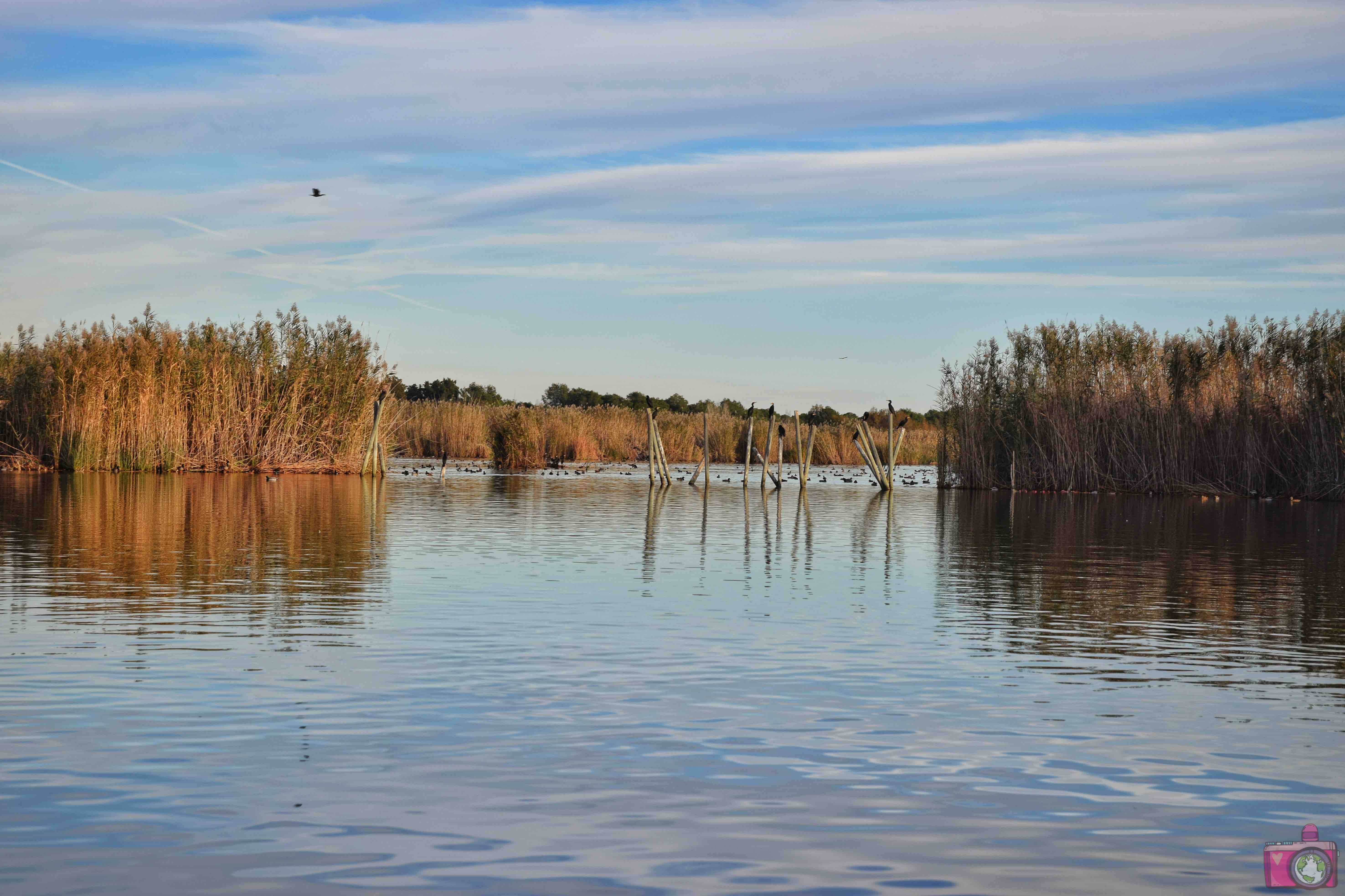 Cosa vedere nei dintorni di Valencia Parco Naturale dell'Albufera