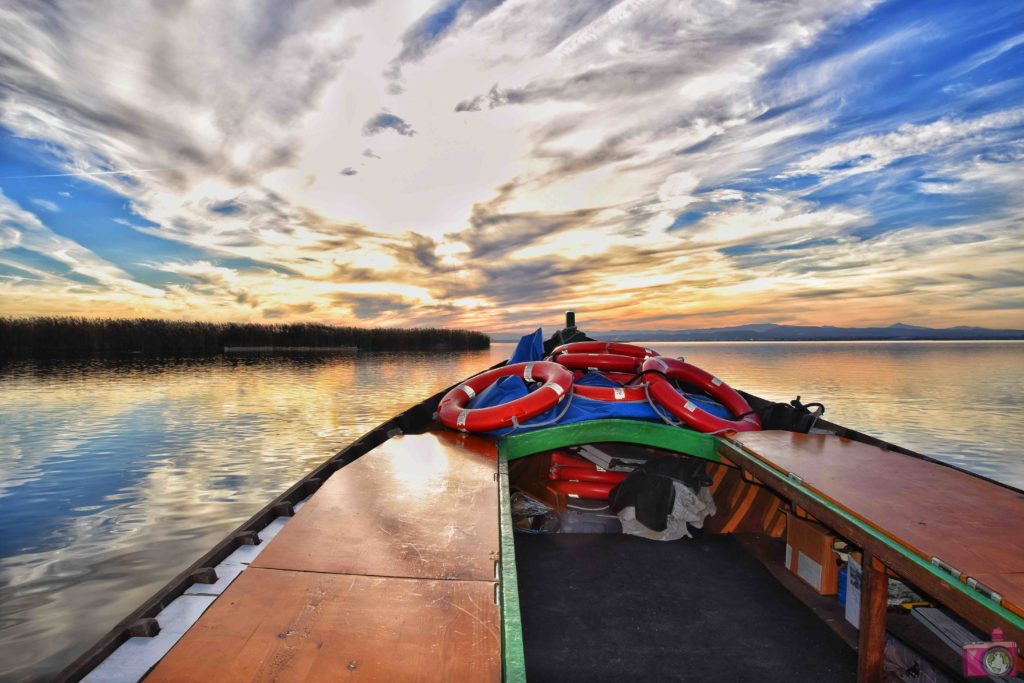 Cosa vedere nei dintorni di Valencia Parco Naturale dell'Albufera