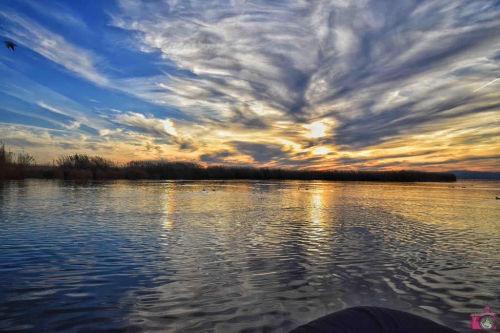 Cosa vedere nei dintorni di Valencia Parco Naturale dell'Albufera