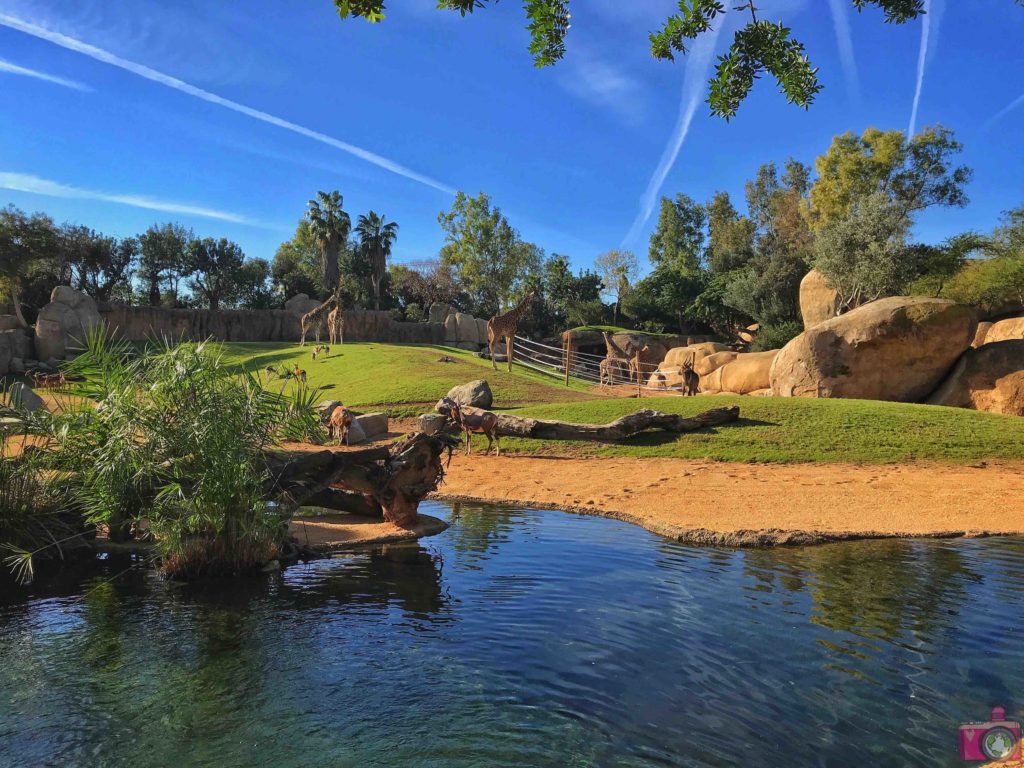 Cosa vedere a Valencia Bioparc