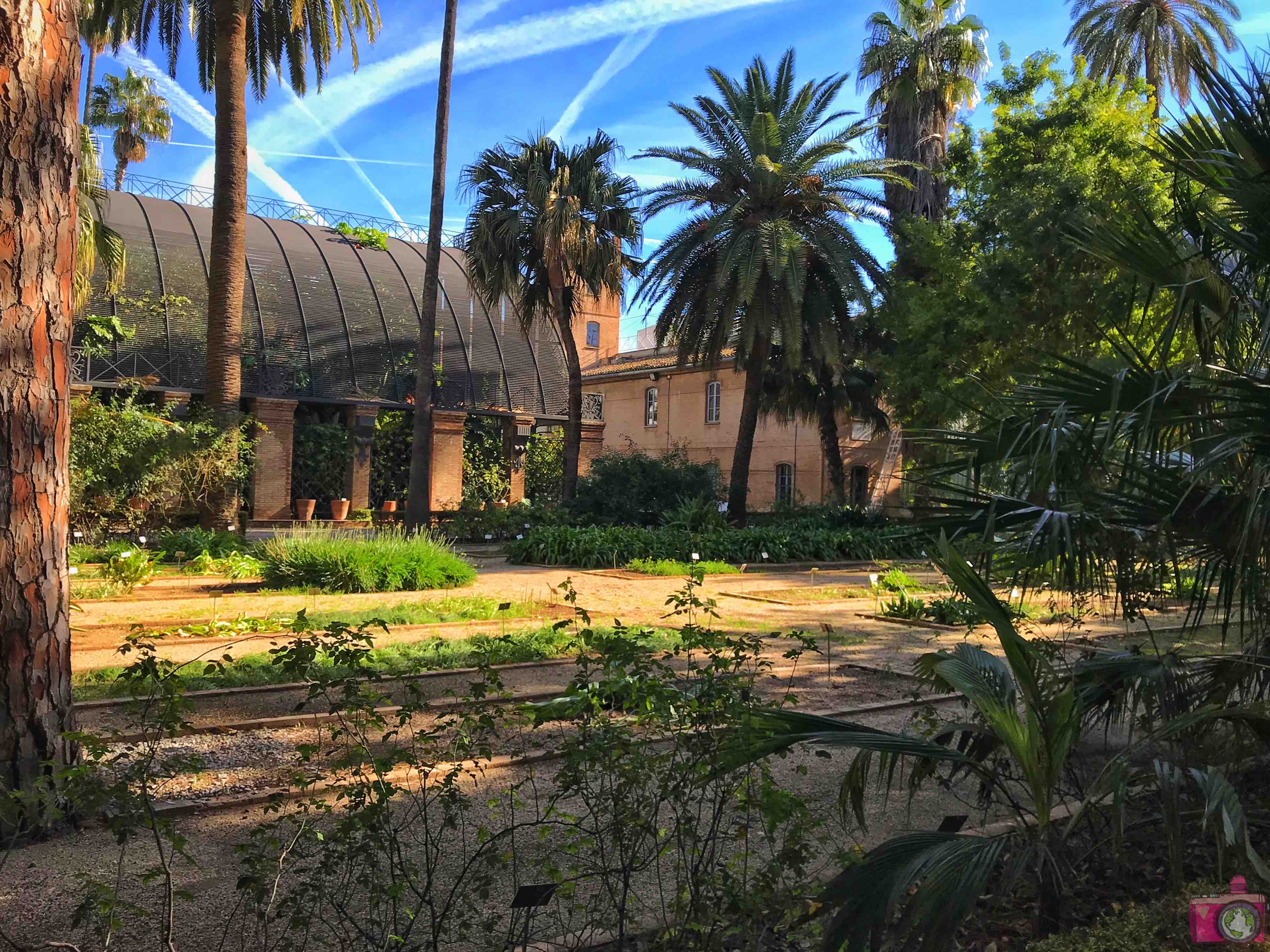 Cosa vedere a Valencia Giardino Botanico