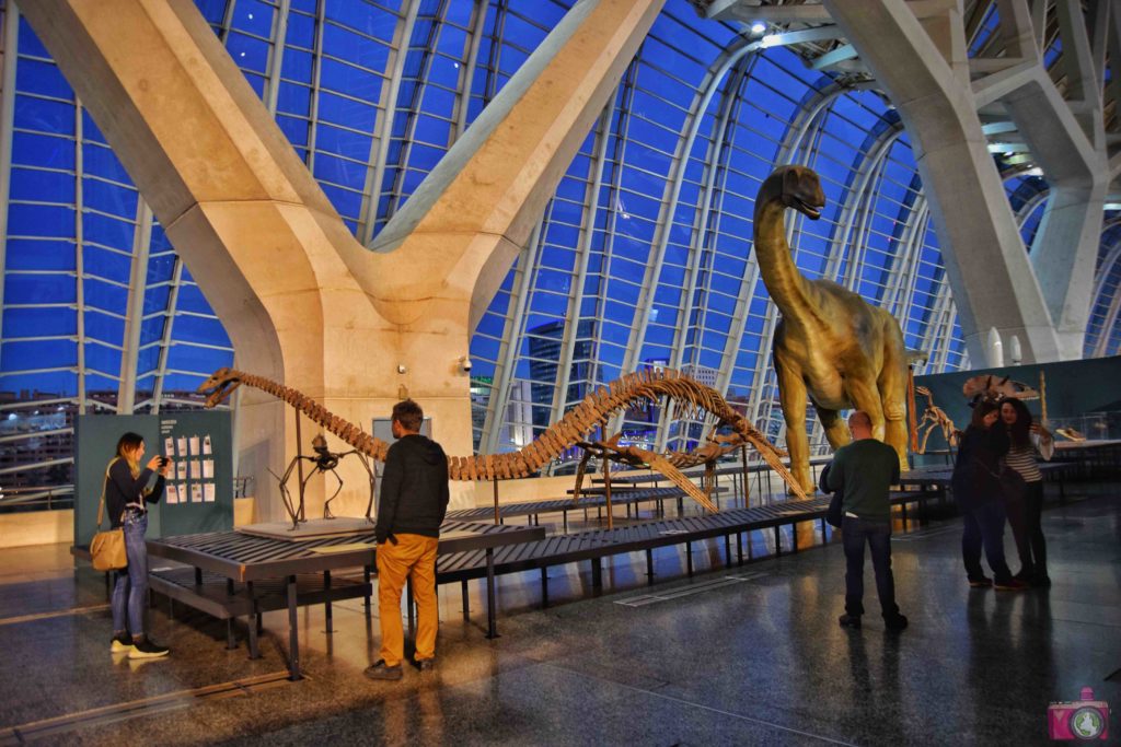 Città delle Arti e delle Scienze Museo delle Scienze Viaggiare, uno stile di vita Città delle Arti e delle Scienze Museo delle Scienze Viaggiare, uno stile di vita
