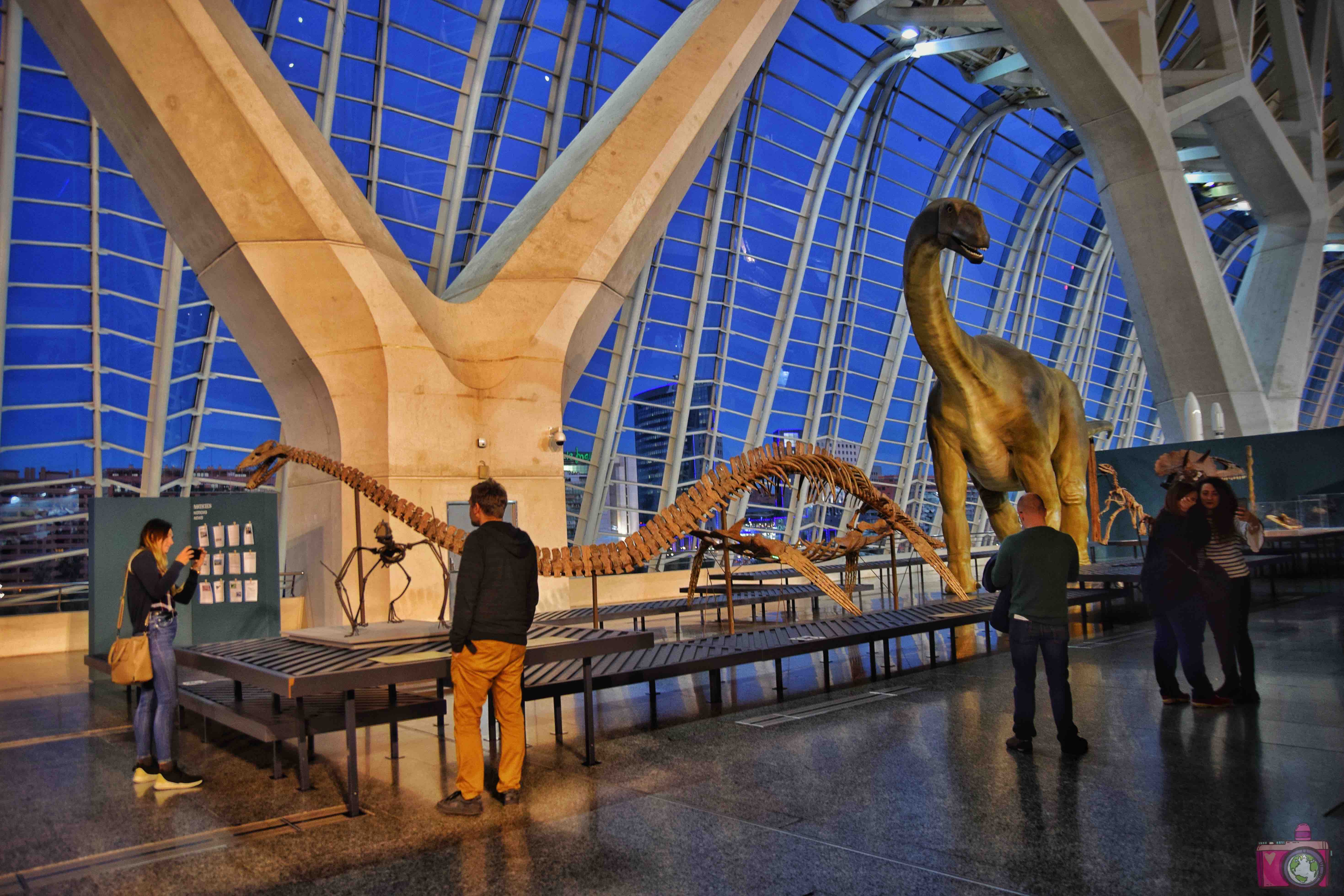 Visitare Valencia Città delle Arti e delle Scienze Museo delle Scienze